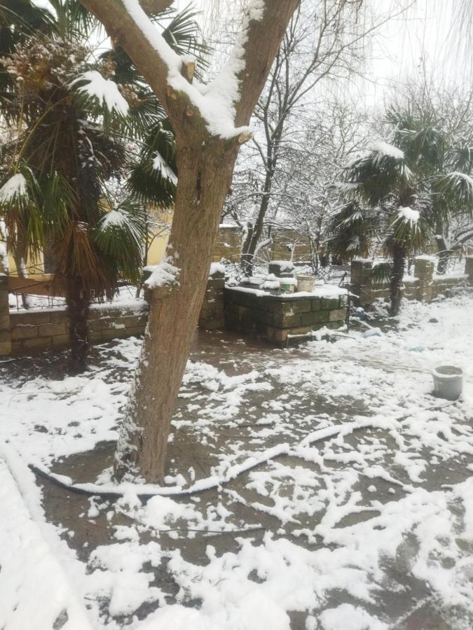 Bed and Breakfast Rey 2 Nabran Exterior foto
